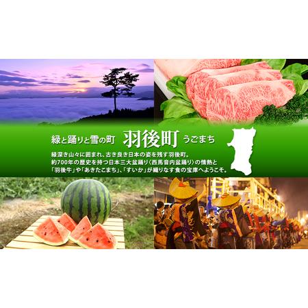 ふるさと納税 杉宮精香堂 匂辛夷（ニオイコブシ）ミスト 15ml  [ 優しい香り 匂い 癒し リフレッシュ ］ 秋田県羽後町_4