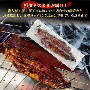 ふるさと納税 【6ヶ月定期便】 国産 うなぎの白焼・蒲焼セット 約180g×2尾 タレ付 うなぎうなぎうなぎうなぎうなぎうなぎ 滋賀県竜王町_1