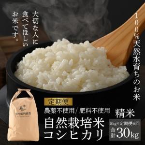 ふるさと納税 [先行予約][令和8年産 新米][定期便6回]伊与衛門農園の自然栽培コシヒカリ精米 5kg×6回 伊与衛門農園の特別栽培米[.. 福井県あわら市
