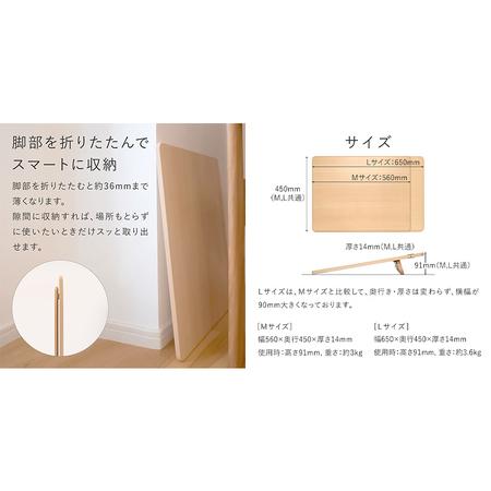 ふるさと納税 椅子 バランスイージー カバー付き イージーライティングボード M セット 選べる フレーム カラー 通常レッド＋レッド 岐阜県美濃市_4