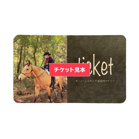 ふるさと納税 【初心者おススメ】 トムソーヤ珈琲コース 祝休日プラン 乗馬 トレッキング 体験チケット [DE004sa] 茨城県桜川市の画像