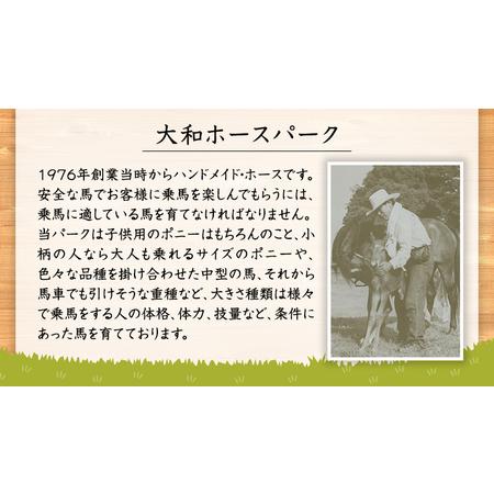 ふるさと納税 【初心者おススメ】 トムソーヤ珈琲コース 祝休日プラン 乗馬 トレッキング 体験チケット [DE004sa] 茨城県桜川市の画像