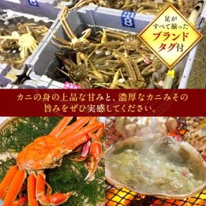 ふるさと納税 【早期受付】【活】タグ付き 松葉ガニ 大1枚（800g前後）| カニ 松葉ガニ タグ付き ※着日指定不可※2026年11月上旬頃から順次発送.. 鳥取県北栄町_2