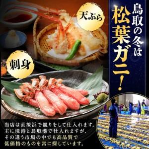 ふるさと納税 【早期受付】【活】タグ付き 松葉ガニ 大1枚（800g前後）| カニ 松葉ガニ タグ付き ※着日指定不可※2026年11月上旬頃から順次発送.. 鳥取県北栄町_3