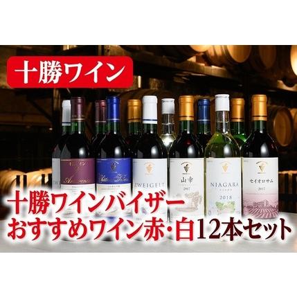 ふるさと納税 十勝ワインバイザーおすすめワイン赤・白12本セット 赤ワイン 白ワイン おすすめワイン 人気ワイン ビンテージワイン 北海道池田町