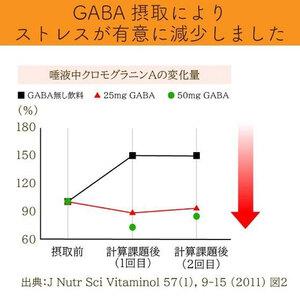 ふるさと納税 048-90 お茶の荒畑園 GABAの国産プーアール茶ティーパック（4ｇ×30包）〈機能性表示食品〉 静岡県牧之原市の画像
