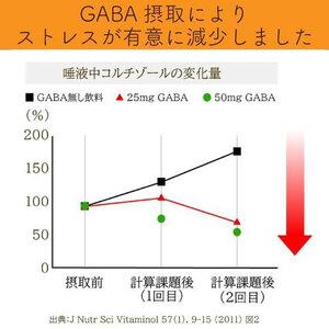 ふるさと納税 048-90 お茶の荒畑園 GABAの国産プーアール茶ティーパック（4ｇ×30包）〈機能性表示食品〉 静岡県牧之原市の画像