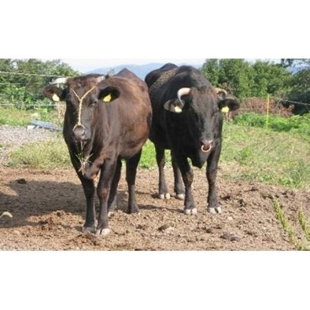 【値下げ⭕️】 ふるさと納税 A4ランク以上！氷見牛もものすき焼き用肉3130g 富山県 氷見市 すきやき しゃぶしゃぶ 牛 肉 モモ 記念日 富山県氷見市 【1549915226】(54570円)