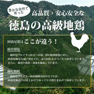 『5年保証』 ふるさと納税 旅する阿波尾鶏シリーズ 3種 各3食入 計9食 バターチキンカレー ごちそうカレー ぜいたくガパオ カレー ガパオ 常温 レトルト 徳島県海陽町