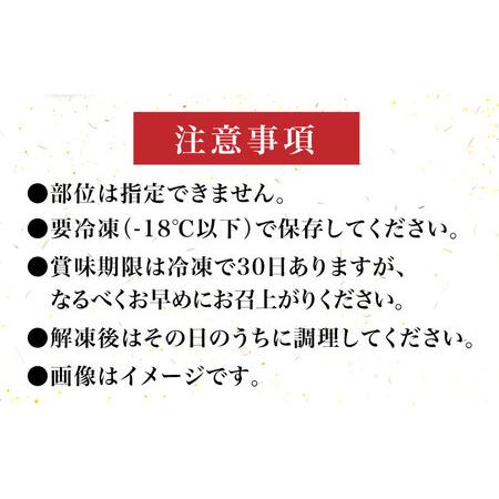 ふるさと納税 【お中元対象】【化粧箱入】博多和牛A5?A4 切り落とし 500g《築上町》【株式会社マル五】 [ABCJ026] おすすめ切り落とし肉 定番切.. 福岡県築上町｜furunavi｜05