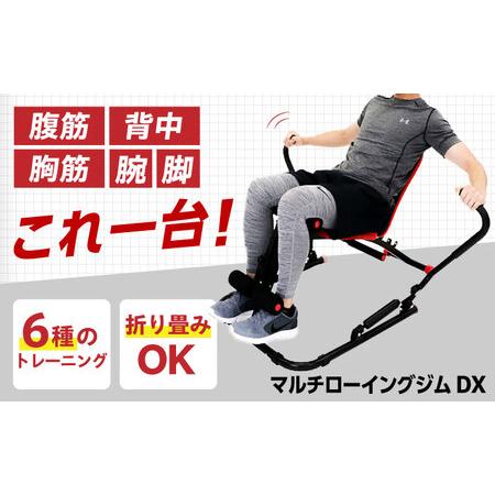 ふるさと納税 マルチローイングジムDX/EXG244R[AOAB063] トレーニング 大阪府高槻市