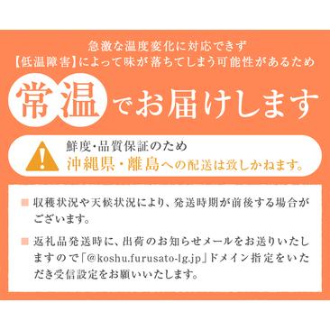 ふるさと納税 減農薬 特別栽培の桃 5〜8玉 約2kg【2026年発送】（YSGK）B14-160 桃 フルーツ 山梨県甲州市の画像