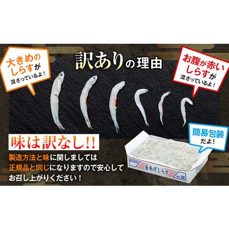 ふるさと納税 訳あり しらす 2kg 【1箱×2】 訳あり しらす 人気 愛知県南知多町_1