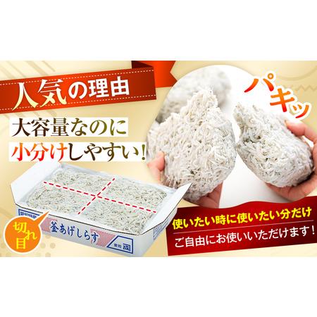 ふるさと納税 訳あり しらす 2kg 【1箱×2】 訳あり しらす 人気 愛知県南知多町_2