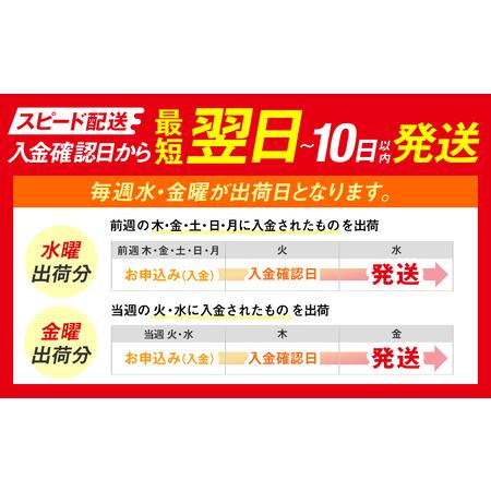 ふるさと納税 訳あり しらす 2kg 【1箱×2】 訳あり しらす 人気 愛知県南知多町_3