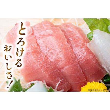 ふるさと納税 特撰 中トロマグロ（メバチマグロ）１柵 150g [川印　村田漁業 宮城県 気仙沼市 20563398] 宮城県気仙沼市_2