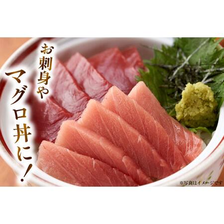 ふるさと納税 特撰 中トロマグロ（メバチマグロ）１柵 150g [川印　村田漁業 宮城県 気仙沼市 20563398] 宮城県気仙沼市_3