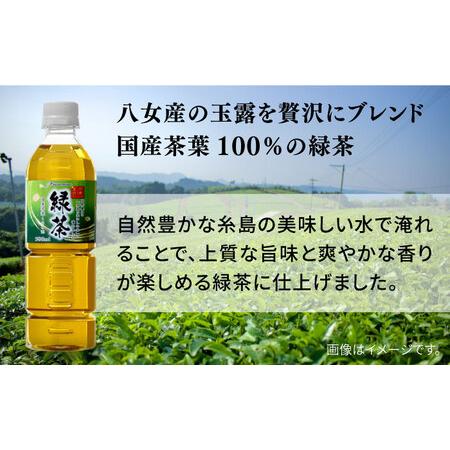 ふるさと納税 【全6回定期便】八女 玉露入り 緑茶 500ml × 24本 糸島市 / スターナイン お茶 ペットボトル [ARM016] 福岡県糸島市_1