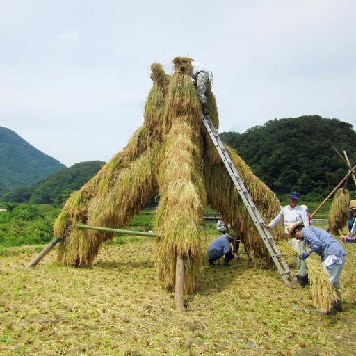 ふるさと納税 開春「西田（生?純米）」＆開春 生?純米大吟醸仕かける【日本酒 2本 仕かける 飲み比べ 純米酒 開春 西田 生?純米 生?純米大吟醸 生も.. 島根県大田市