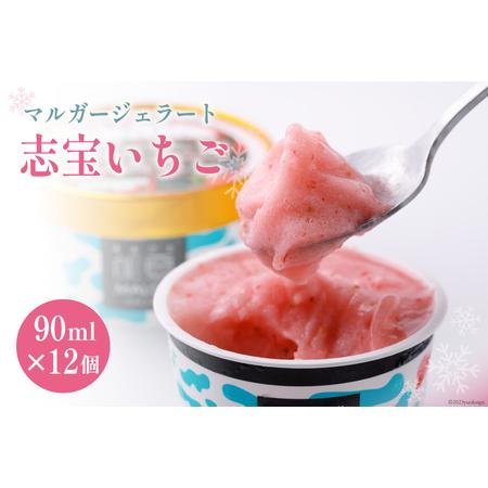 ふるさと納税 マルガージェラート12個セット（志宝いちご12個） [モア