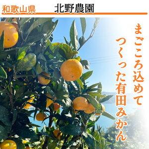 ふるさと納税 【2026年先行予約】家庭用 ご有田みかん 和歌山 小玉(2S,3Sサイズ混合) 約3kg_DZ6033 和歌山県湯浅町 |  | 01