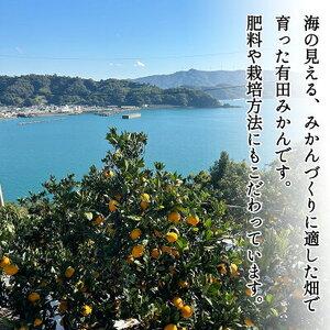 ふるさと納税 【2026年先行予約】家庭用 ご有田みかん 和歌山 小玉(2S,3Sサイズ混合) 約3kg_DZ6033 和歌山県湯浅町 |  | 02