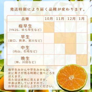 ふるさと納税 【2026年先行予約】家庭用 ご有田みかん 和歌山 小玉(2S,3Sサイズ混合) 約3kg_DZ6033 和歌山県湯浅町 |  | 03