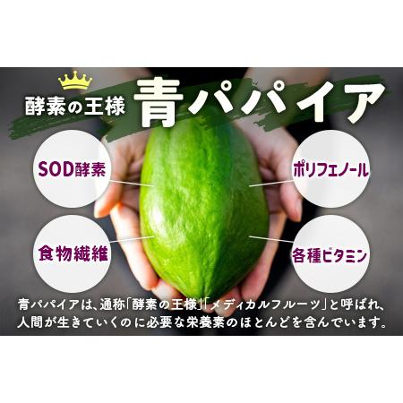 ふるさと納税 ［お試し］グリーンパパイアティー 果実茶セット（ティーバッグタイプ）ポスト投函【P3】 宮崎県新富町｜furunavi｜02