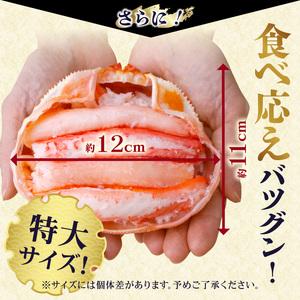 ふるさと納税 香住ガニ 甲羅盛り 約160g×4個 カニ酢10g×4個 カニ かに 蟹 10-16 兵庫県香美町