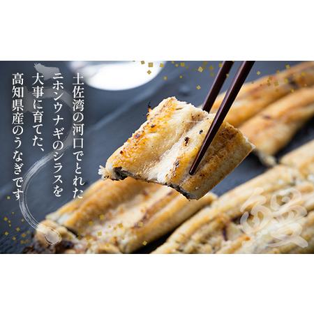 ふるさと納税 【6カ月定期便】6カ月連続高知県産鰻の白焼き130〜150ｇ×3尾 合計18尾 エコ包装 - 鰻 ウナギ 有頭 つまみ ご飯のお供 たれ 簡.. 高知県香南市_1