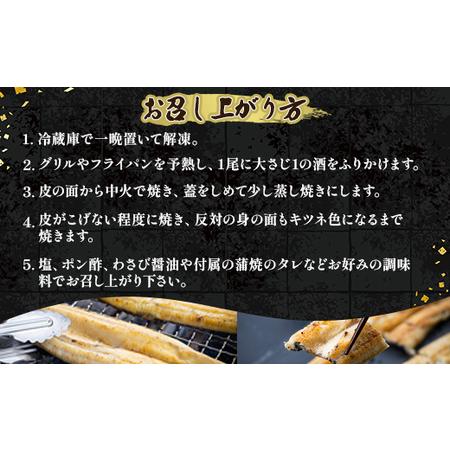ふるさと納税 【6カ月定期便】6カ月連続高知県産鰻の白焼き130〜150ｇ×3尾 合計18尾 エコ包装 - 鰻 ウナギ 有頭 つまみ ご飯のお供 たれ 簡.. 高知県香南市_3