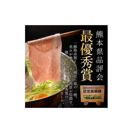 ふるさと納税 一勝地赤豚 とんかつ用 10枚（約1.5kg）FKP9-525 熊本県球磨村_1