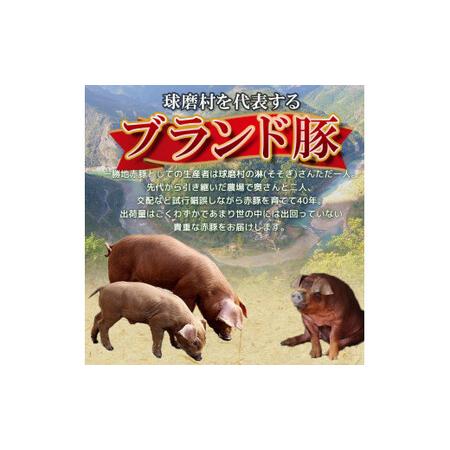 ふるさと納税 一勝地赤豚 とんかつ用 10枚（約1.5kg）FKP9-525 熊本県球磨村_2