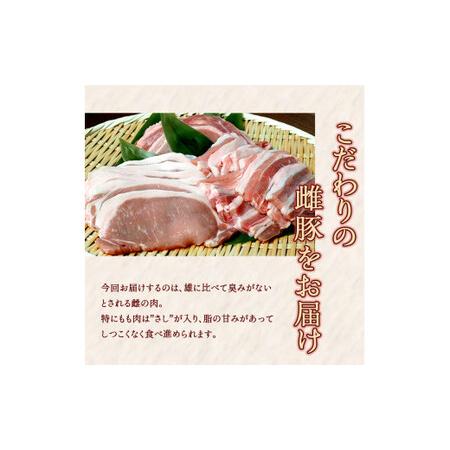 ふるさと納税 一勝地赤豚 とんかつ用 10枚（約1.5kg）FKP9-525 熊本県球磨村_3