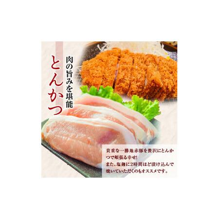 ふるさと納税 一勝地赤豚 とんかつ用 10枚（約1.5kg）FKP9-525 熊本県球磨村_4