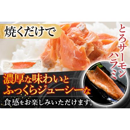 ふるさと納税 スモークサーモン4〜6P(計800g)＆とろサーモンハラミ6〜10枚(計2kg) B-09100 北海道根室市_1