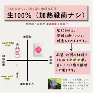 ふるさと納税 食べる糀甘酒 100gパック 11個 ★生100%・無添加・砂糖不使用・ノンアルコール_調味料   _【配送不可地域：離島】【1353575】 石川県白山市の画像