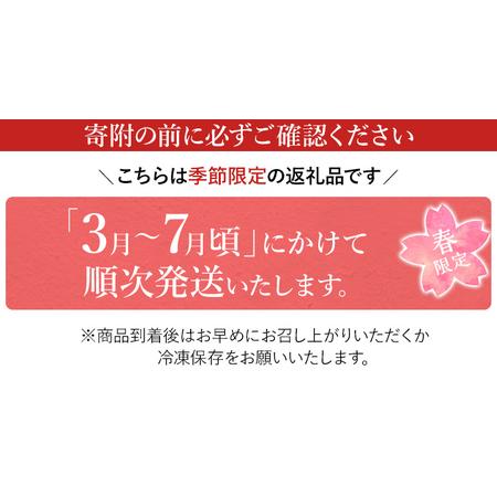 ふるさと納税 竹取すし物語 2本 (一本6切れ&times;2本)　寿司 すし 筍 たけのこ タケノコ 穴子 あなご アナゴ 冷凍 季節限定 福岡 九州 国産 グル.. 福岡県志免町