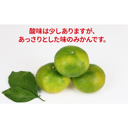 ふるさと納税 【ご家庭用】極早生みかん10kgWF|みかん(B010-024015) 愛媛県宇和島市