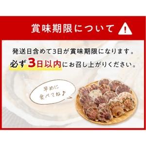 ふるさと納税 【予約：2026年3月下旬から順次発送】オホーツク貝付きほたて 5kg 30枚〜50枚 ( 海鮮 魚介 魚介類 貝 貝類 ホタテ ほたて 帆立 殻.. 北海道北見市の画像
