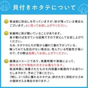 ふるさと納税 【予約：2026年3月下旬から順次発送】オホーツク貝付きほたて 5kg 30枚〜50枚 ( 海鮮 魚介 魚介類 貝 貝類 ホタテ ほたて 帆立 殻.. 北海道北見市の画像