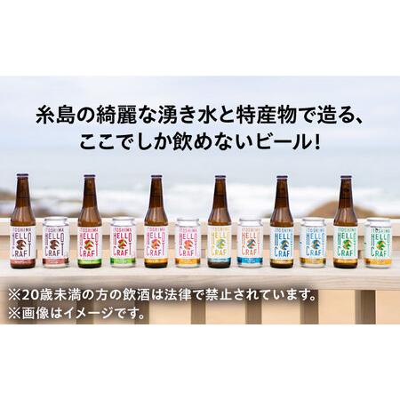 ふるさと納税 【全3回定期便】【 6本 飲み比べ 】糸島 クラフト ビール 瓶 詰め合わせ 6本 セット 糸島市 / HELLO BREWERY 地ビール ビール 4700.. 福岡県糸島市 6本 ビール HELLO 30代/男性 　　 ↓↓↓