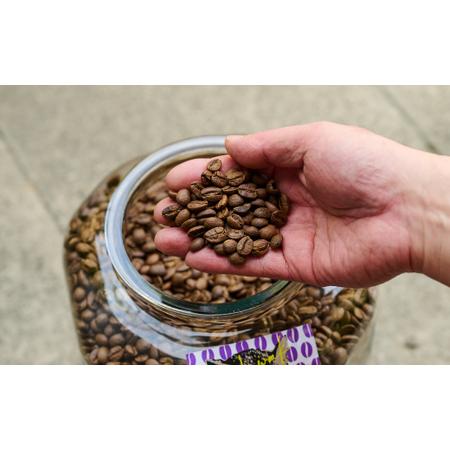 ふるさと納税 ジャコウネコ珈琲 コピ・ルアク 100g×3袋【3回定期便】(H070106) 佐賀県神埼市の画像