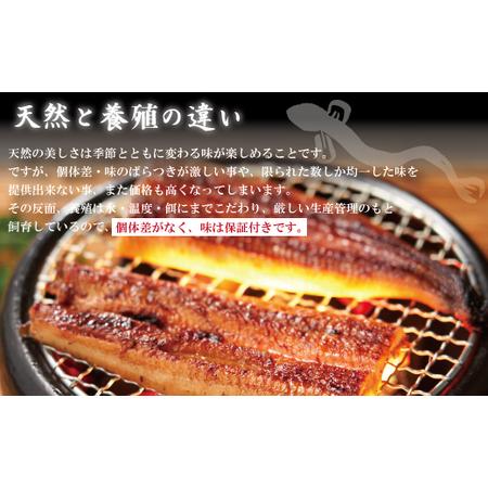 ふるさと納税 【年内配送】R5-367N．＜四万十食品＞うなぎ蒲焼　長焼3尾／ＣＤ 高知県四万十市 