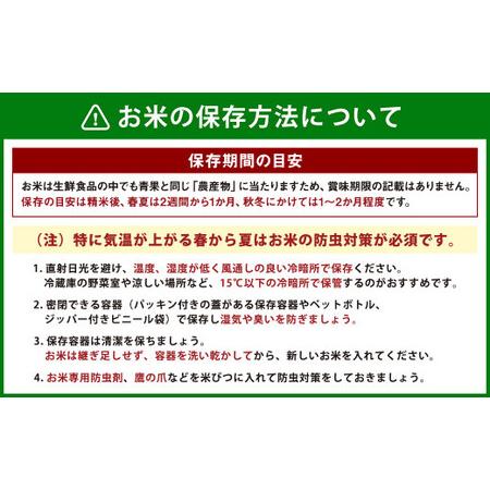 ふるさと納税 【2023年10月下旬発送開始】令和5年産 熊本県産森のくまさん無洗米 7kg ＋お米のお菓子 サクサクキャラポン 60g×1袋 熊本県熊本市｜furunavi｜03