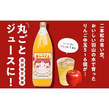 ふるさと納税 羽山のりんご ほっぺくん 小瓶（250ml）10本入り【羽山果樹組合】 福島県二本松市｜furunavi｜03