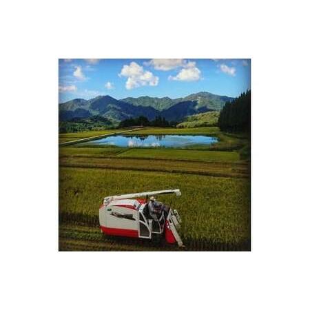 新品未使用！ ふるさと納税 【定期便：5ヶ月連続でお届け】新潟県岩船産 棚田米コシヒカリのパックごはん(150g×20個)×5ヶ月 1067050 新潟県村上市 【TMF9798721854】(34500円)