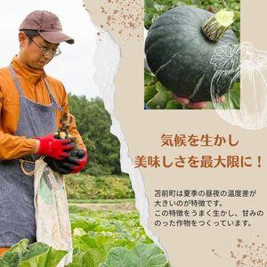 ふるさと納税 【NHKあさイチで紹介されました！】上田ファームのかぼちゃ団子（チーズin）300g×3 北海道産かぼちゃ使用 カボチャ だんご 国.. 北海道苫前町の画像