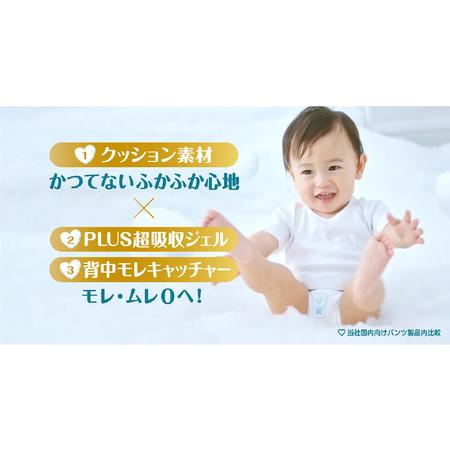 ふるさと納税 パンツ パンパース 「 肌いち 」 8パックと おしりふき 8