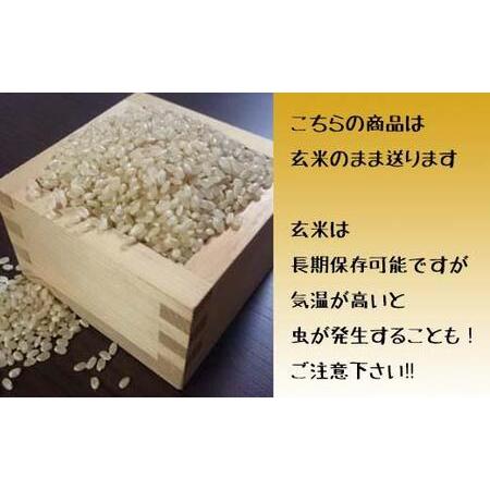 ふるさと納税 令和5年産北海道岩見沢市産　ななつぼし玄米30kg≪沖縄・離島配送不可≫【35032】 北海道岩見沢市｜furunavi｜03